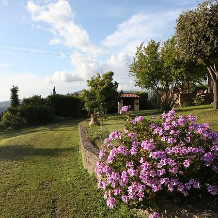 Vigna Lontana Farm stay *