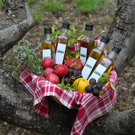 Vigna Lontana Farm stay *