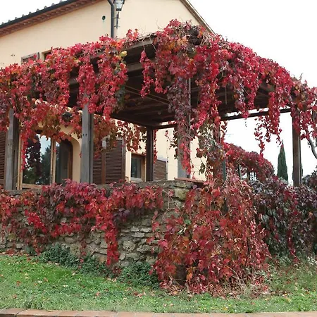 Vigna Lontana Farm stay Montescudaio