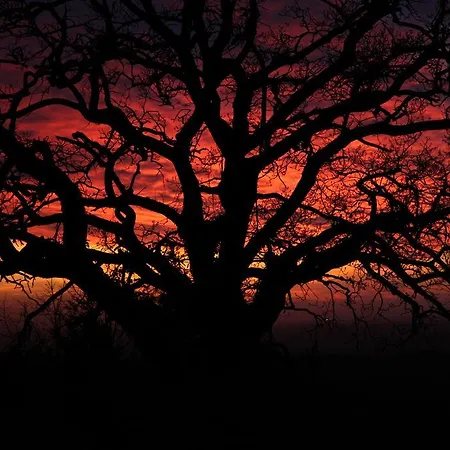 Vigna Lontana * مونتيسكودايو
