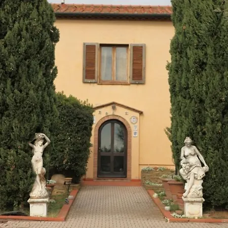 Vigna Lontana Montescudaio