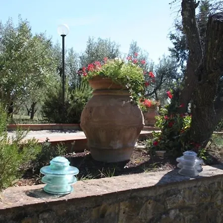 Vigna Lontana Montescudaio