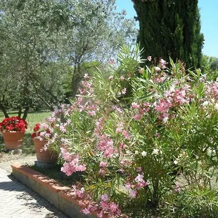 Farm stay Vigna Lontana