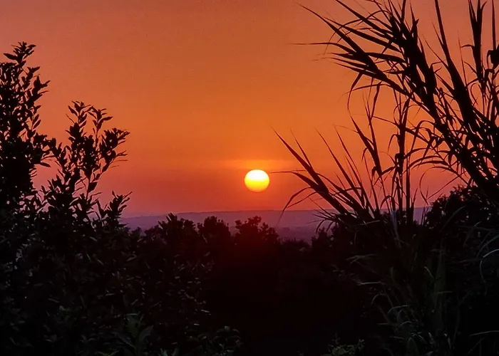 ファームステイ Vigna Lontana