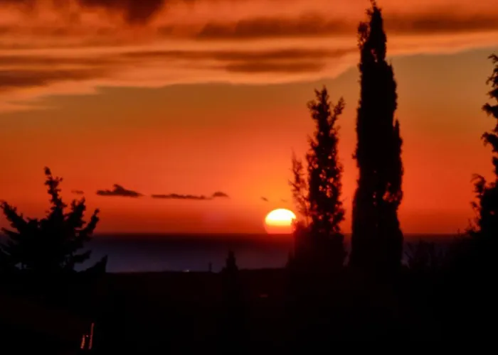 Vigna Lontana モンテスクダイオ