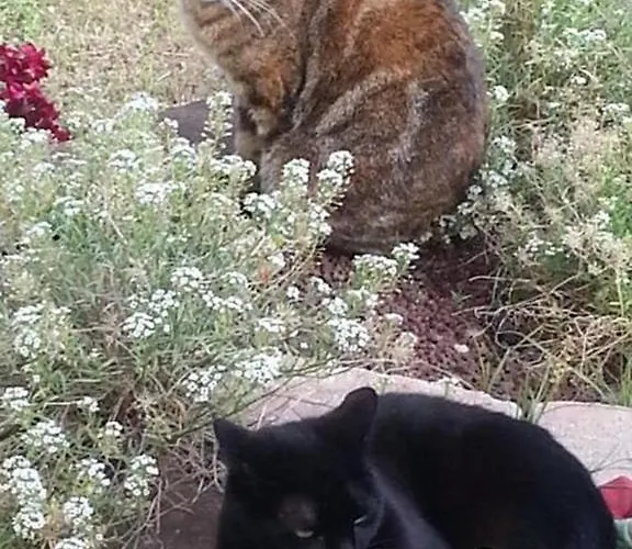 ファームステイ Vigna Lontana