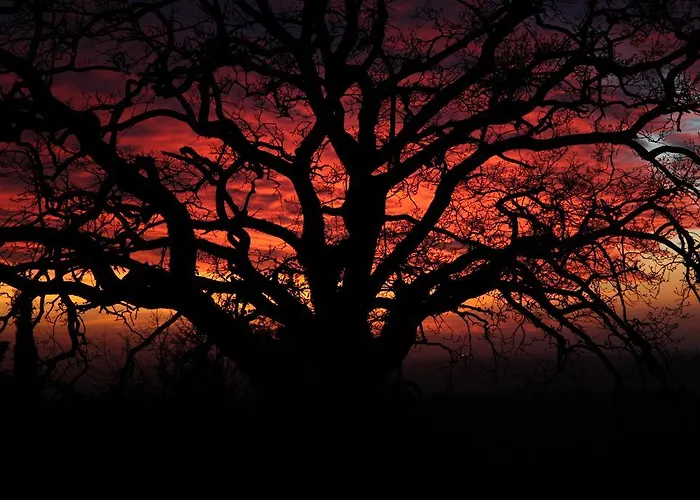 Vigna Lontana * モンテスクダイオ