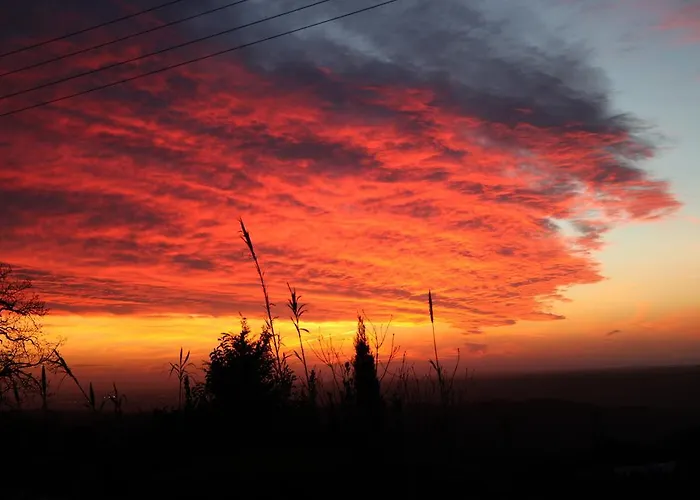 Vigna Lontana モンテスクダイオ