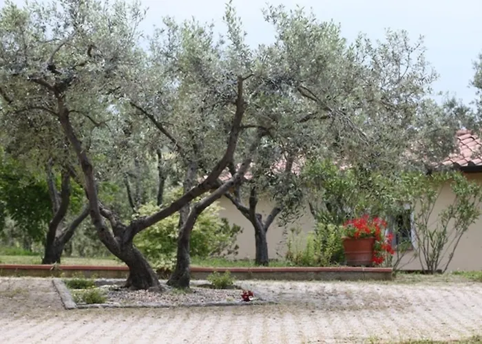 Vigna Lontana モンテスクダイオ